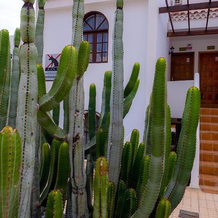 Las Bouganvillas 1 Bed Apartment In Costa Adeje Exterior foto